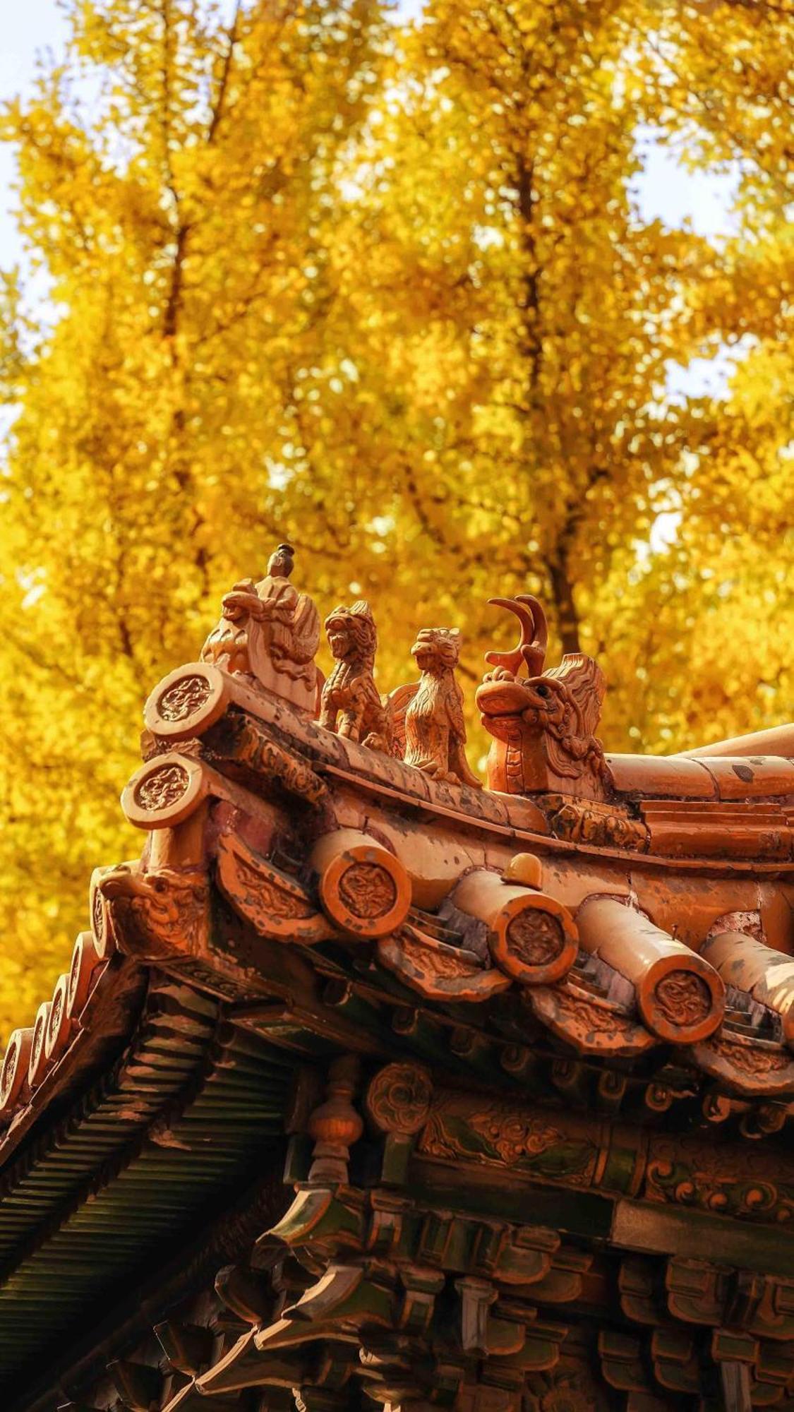 East Sacred Hotel--Very Near Beijing Tiananmen Square ,The Forbidden City,The Temple Of Heaven ,3 Minutes' Walk To Wangfujing Subway ,Located In The Center Of Beijing, Many Shopping Malls Around,Newly Renovated Hotel-Able To Receive Foreign Guests 外观 照片 The roof of the temple